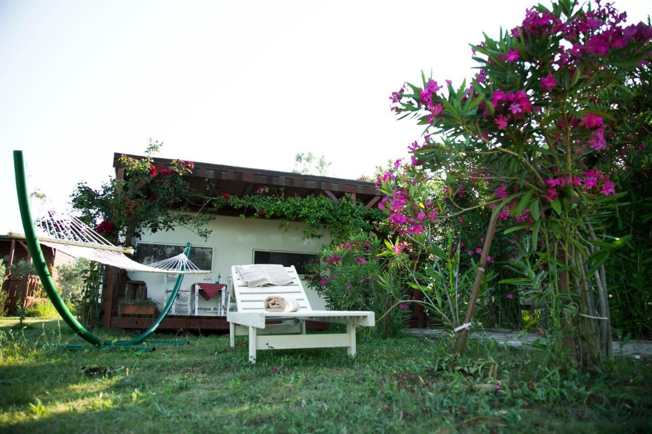 Cunda Fora Glamping Hotel ไอวาลิค ภายนอก รูปภาพ